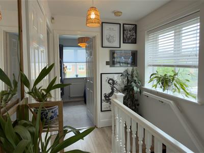 Picture 23